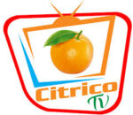Canal 30 Citrico tv